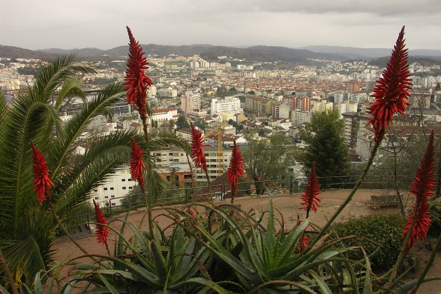 Nová Coimbra 