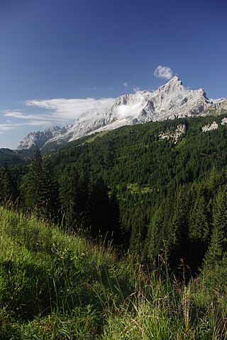 Civetta 