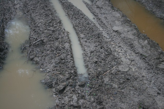 United colours of Mud 