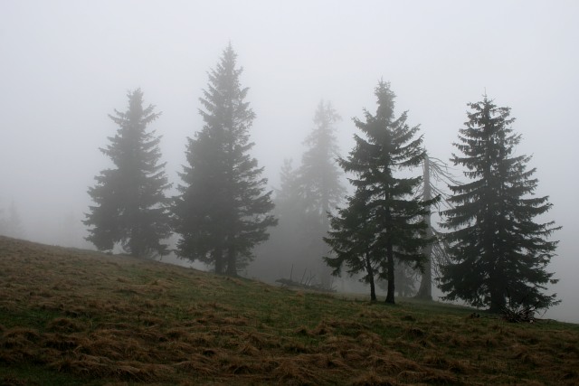 Partička 