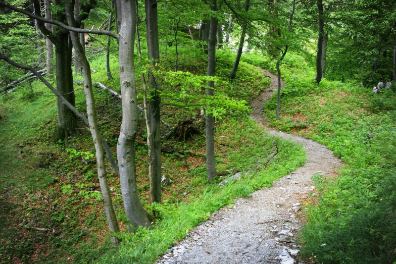 Bučiny 