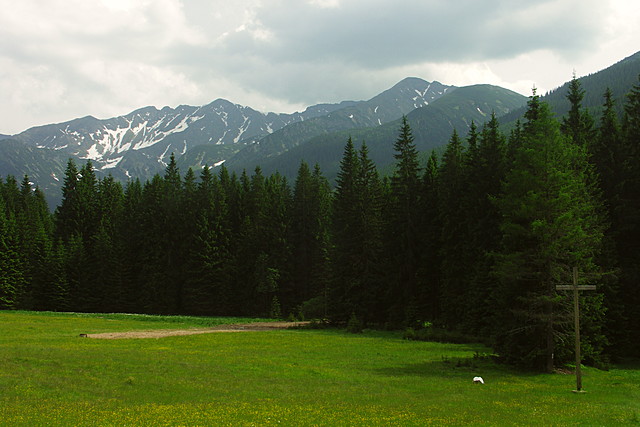 Bye, Roháče 