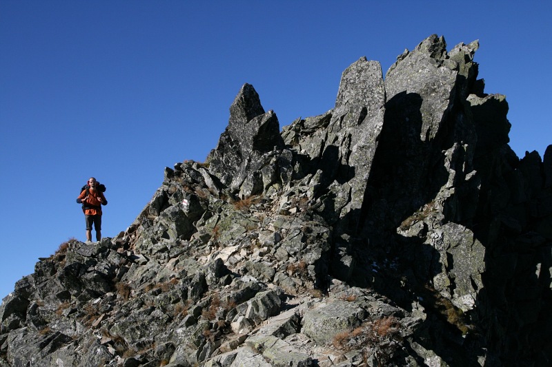 Sviniarky Skriniarky 