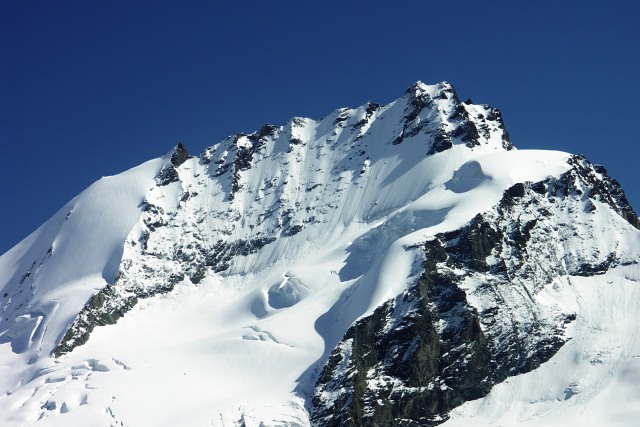 Rimpfischhorn 