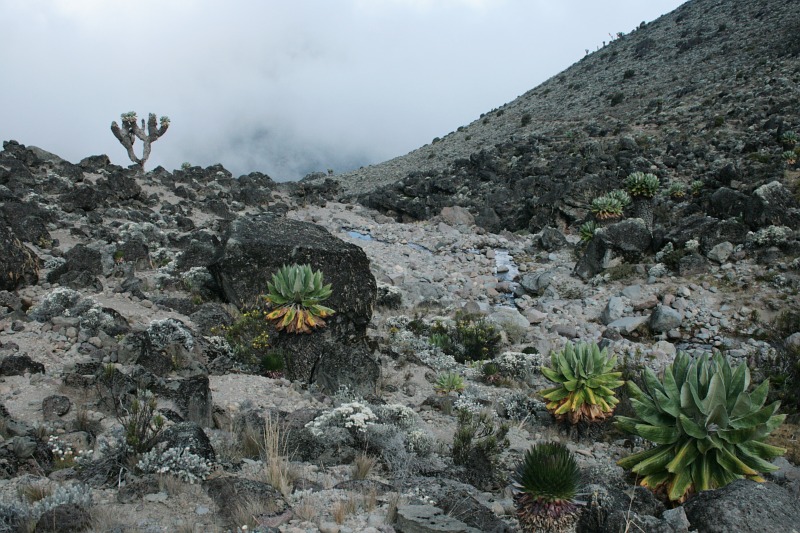 Údolí Barranco 
