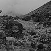 Údolí Barranco
