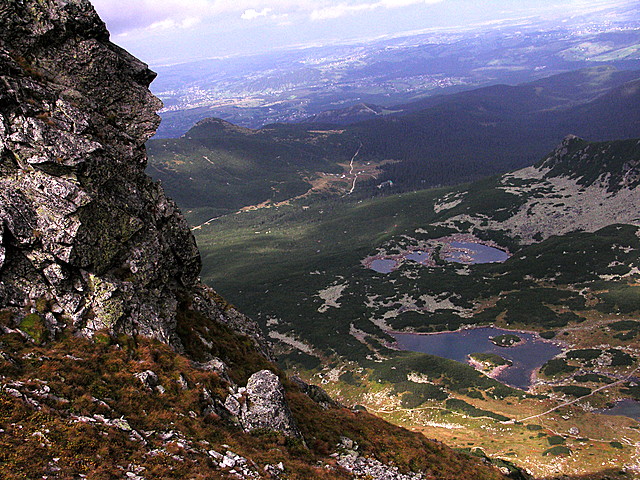 Kurtkowiec 
